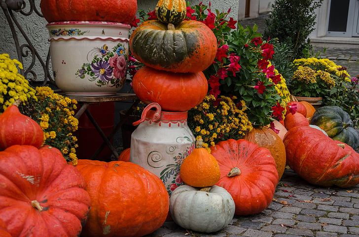 hösten, pumpor, dekoration, skörd, färgglada, dekorativa squash, gul