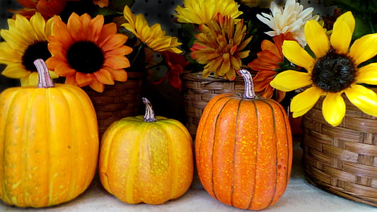 Halloween, Ķirbīte, brīvdiena, rudens, Halovīni Ķirbju, oktobris, Džeks