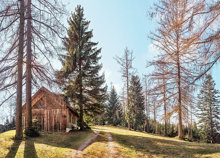 hut, hill, salzkammergut, trees, meadow, away, path