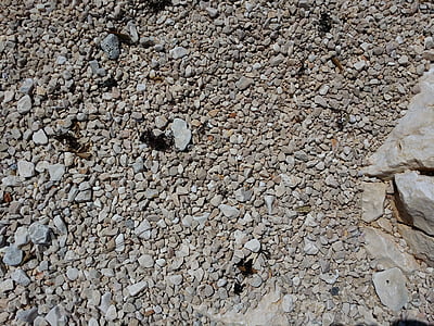 pebbles, shore, rocks, texture, stone, beach, nature