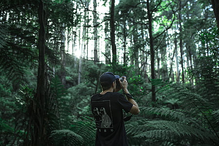 kamera, zaļumi, meža, vīrietis, daba, persona, fotogrāfs