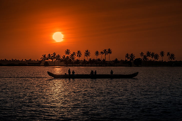 posta de sol, Kerala, aleppay, vaixell, pescador, pesca, Cochin
