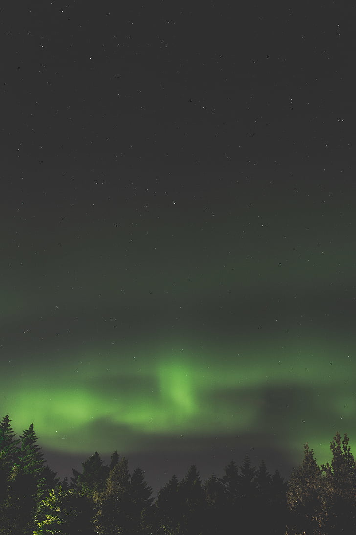 zielony, Aurora, Borealis, gwiazda, Northern light, światło night, noc
