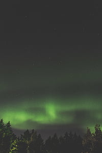 verde, Aurora, borealis, estrela, Northern Lights, noite de luz, à noite