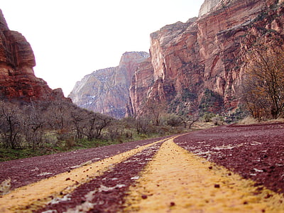national park, national parks, zion, road, red, network, yellow