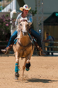 horse, contest, barrel, western, competition, cowboy, animal
