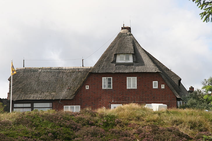 sylt, reed, building, architecture, thatched roof, roof