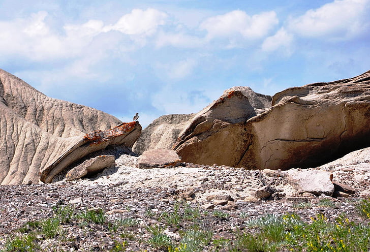Landschaft, Felsen, Vogel, Natur, friedliche, im freien, Rock - Objekt