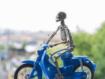 skelet, fiets, Honda, Cub, speelgoed
