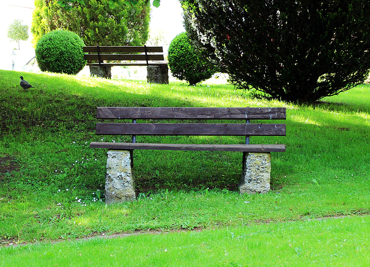 bank, bench, nature, seat, recovery, click