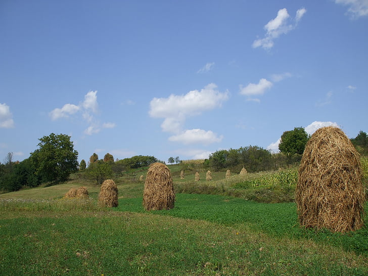 farmland, haystacks, countryside, rural, agriculture, bale, nature