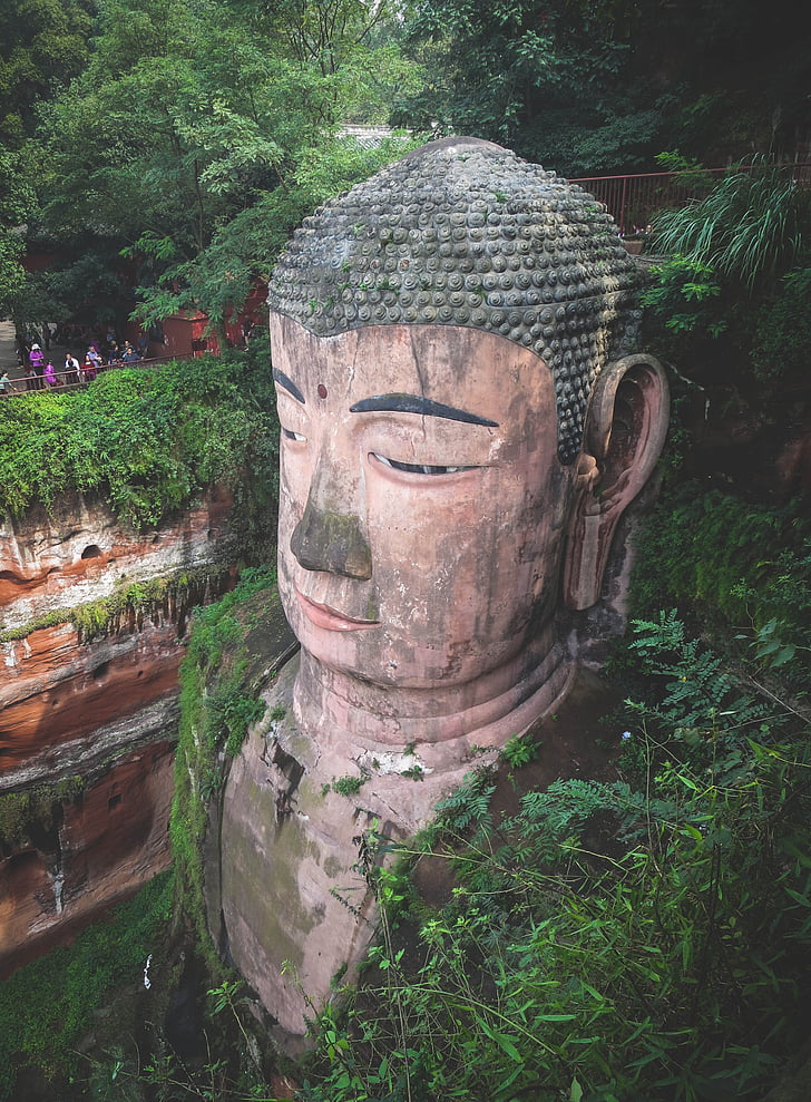 leshan giant buddha, culture, statue, people, tourists, plants, leaves