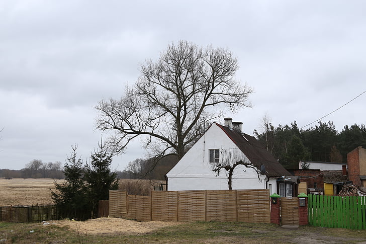 house, tree, field, forest, village, old house, view