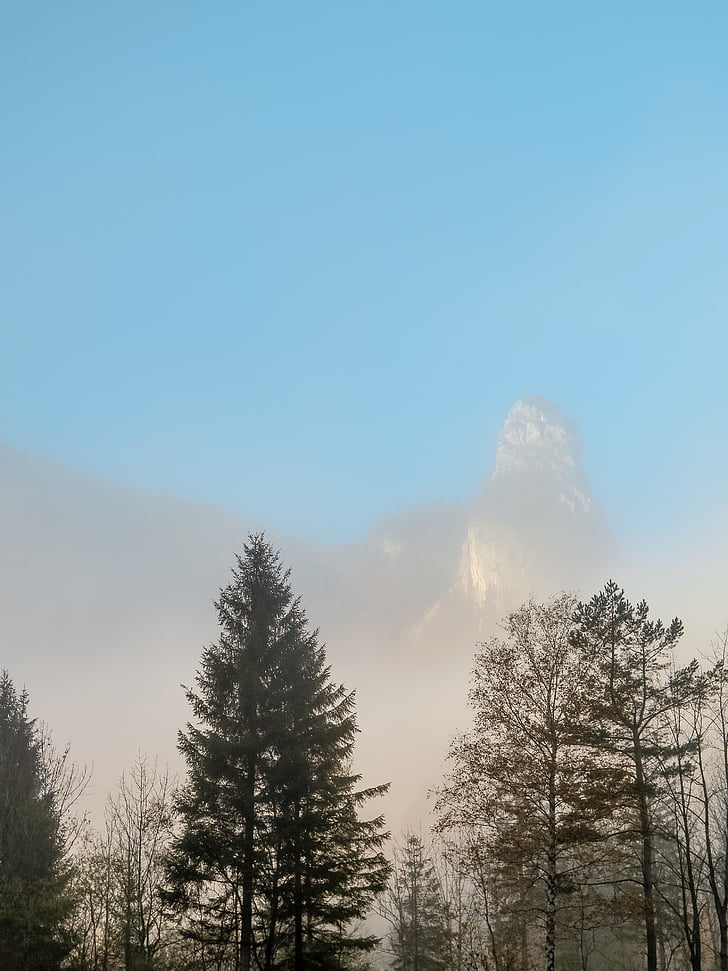 mountains, fog, trees, highlands, peak, summit, rock