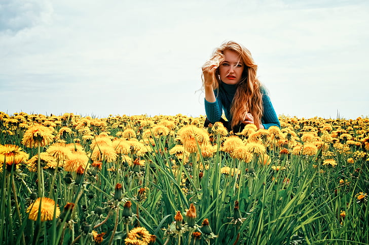 dandelion, nature, greens, yellow, living nature, a yellow flower, summer flowers