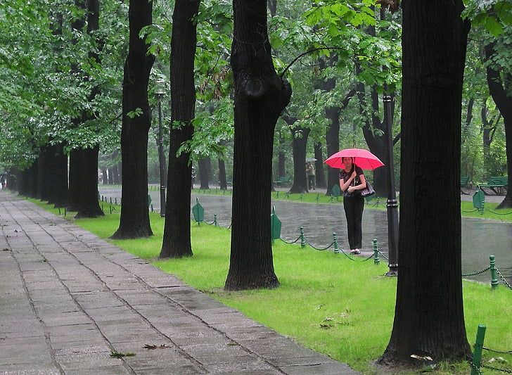 lietus, moteris, panele, raudona skėtis, medžiai, žolės, žalia