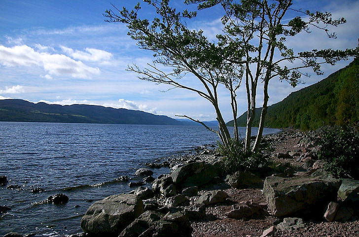 Loch ness, caurums, ezers, Skotija, Nesija, briesmonis, ainava