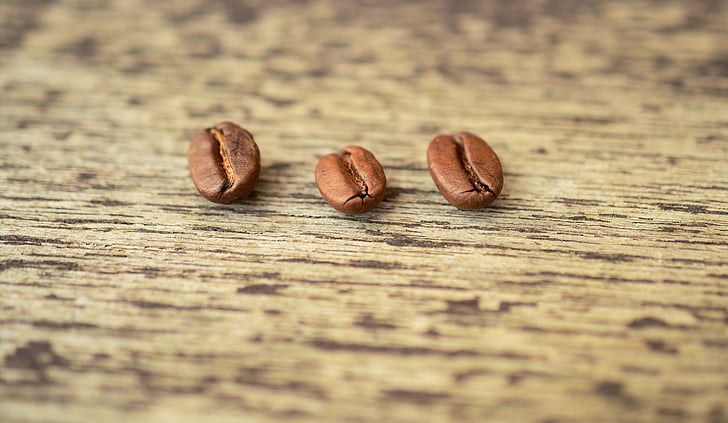kávové zrná, tri, drevo, makro, káva, hnedá, fazuľa