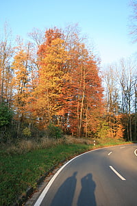 shadow play, human, autumn, road, colorful, asphalt, leaves