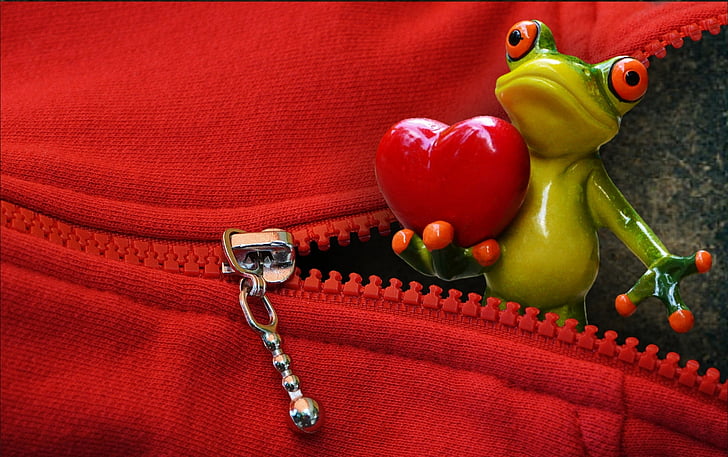 zip, ouvrir, grenouille, amour, Saint-Valentin, coeur, drôle