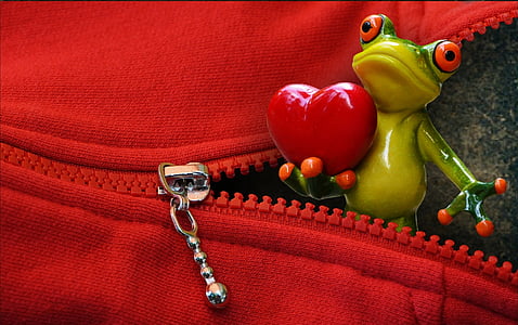 zip, 開く, カエル, 愛, バレンタインの日, 心, 面白い