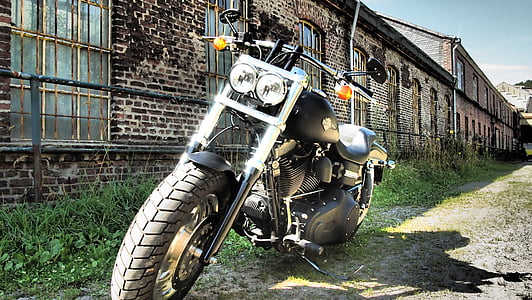 Harley, fedt bob, fabrikken, motorcykel, transport, hjulet, dæk