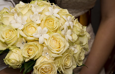 τριαντάφυλλο, Κίτρινο, μπουκέτο, λουλούδι, floral, φύση, ημέρα του Αγίου Βαλεντίνου