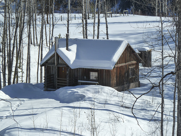 Zimní, sezóny, sníh, chlad, stará kabina, budova, srub
