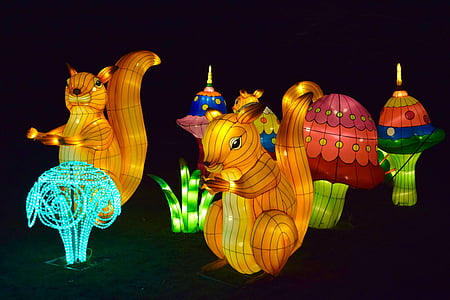 lanternes, Chinois, nuit, lumières, couleurs, écureuils