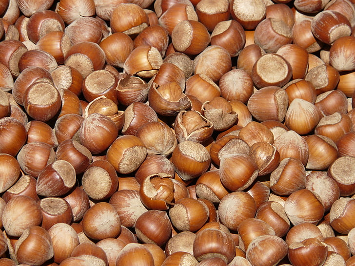 hazelnuts, brown, nuts, open, shells, market, close