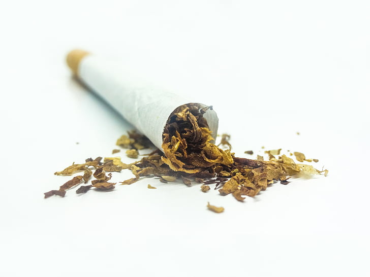 tabac, cigarret, fons blanc, blanc, fumat