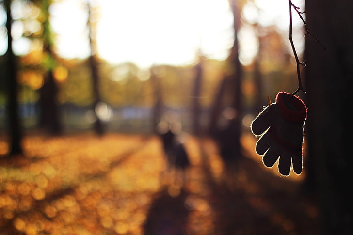 autumn, blur, close-up, color, fall, focus, glove