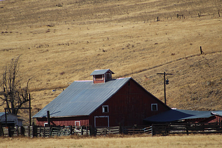 czerwonej stodole, kraj, obszarów wiejskich, gospodarstwa, Rolnictwo, wsi, budynek