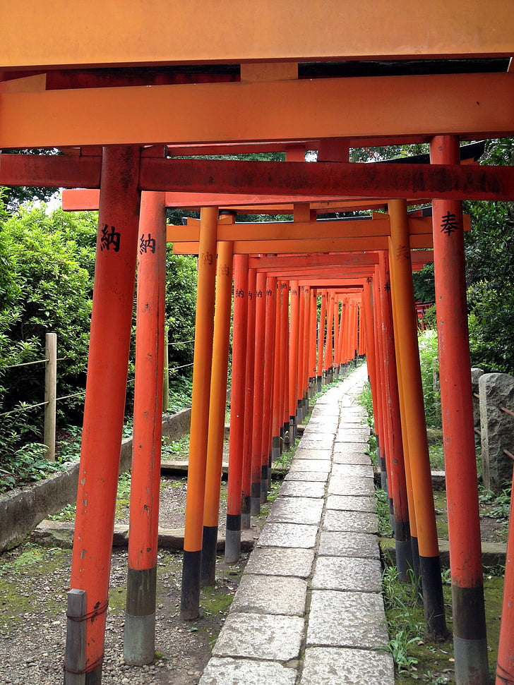 japan, tokyo, ueno, shrine, torii, nezu shrine, building