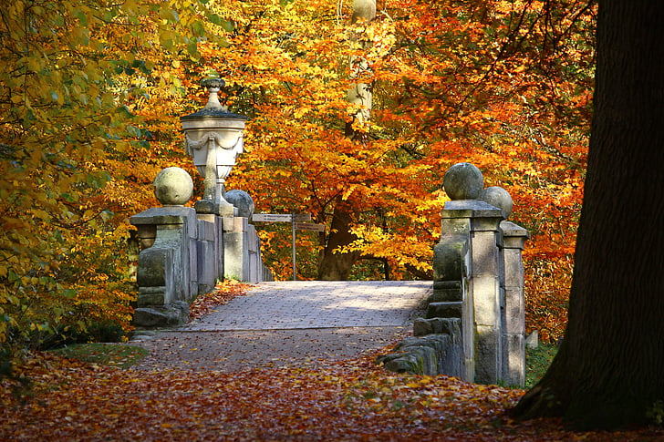 híd, ősz, őszi lombozat, kastélypark, Ludwigslust-parchim, szobrászat, váza