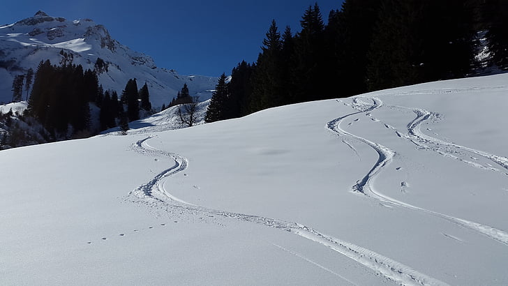 Loipe, Backcountry-Skifahren, Ski, Tour, Wintersport, Winter, Skifahren