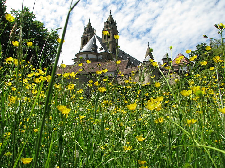 Mosteiro, Comburg, Schwäbisch hall, Prado, flor, flores