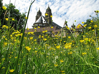 monastery, comburg, schwäbisch hall, meadow, bloom, flowers