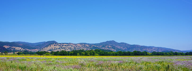 Napa valley, rượu vang, Winery, Napa, Thung lũng, vườn nho, California