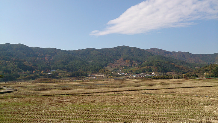 Gwangyang, Fondo, paisaje, Jeolla-do, República de Corea, arrozales