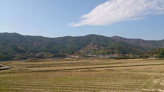 Gwangyang, plano de fundo, paisagem, Jeolla-do, República da Coreia, arrozais