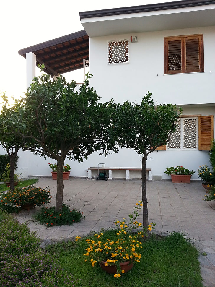 Villa, terraza, jardín