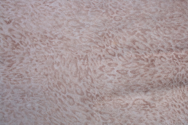 μια λεοπάρδαλη, δέρμα, Chiba, δερμάτινη υφή, υφή, ζώο, δέρματα ζώων