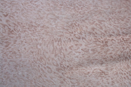 a leopard, leather, chiba, leather texture, texture, animal, animal skins
