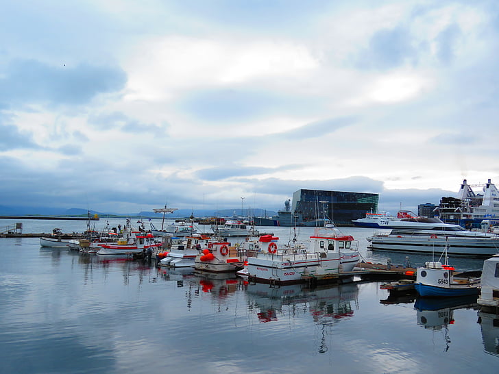 Island, Reykjavik, Port, Harpa, Harbor, Nautical laeva, Sea