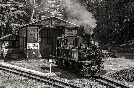 damplokomotiv, historisk, lokomotiv, jernbane, Loco, nostalgisk, tog