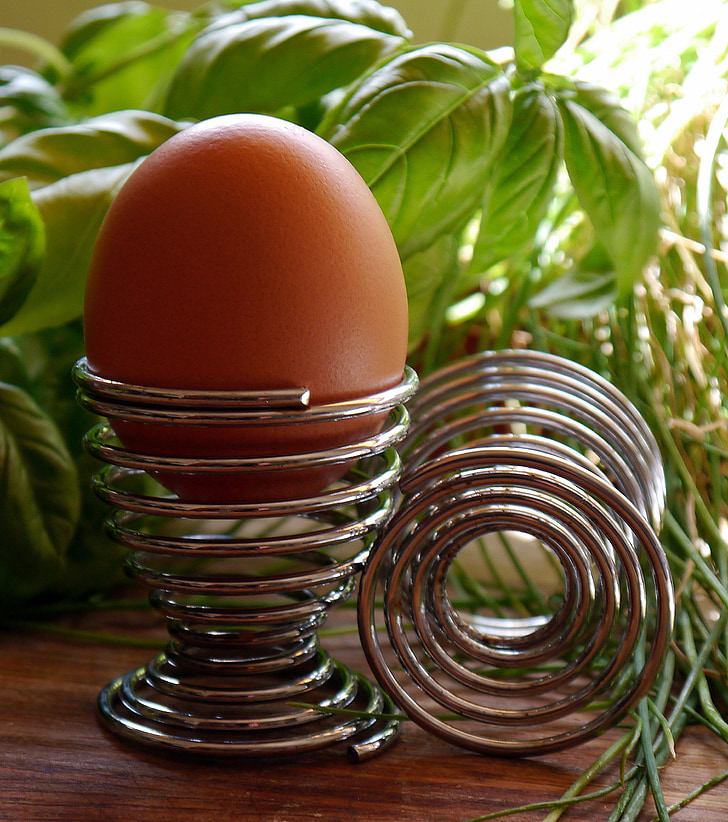 egg, holder, eggcup, shell, raw, eggshell, cooked