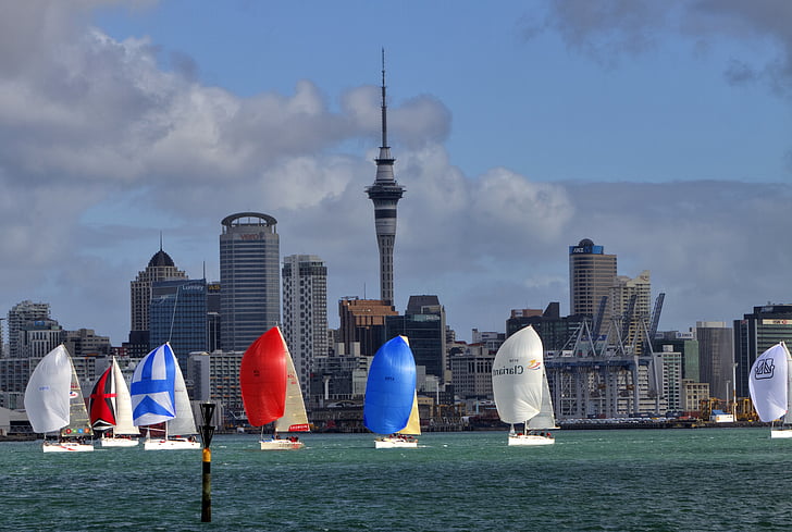 thuyền buồm, thuyền, đi thuyền, thuyền, du thuyền, Auckland
