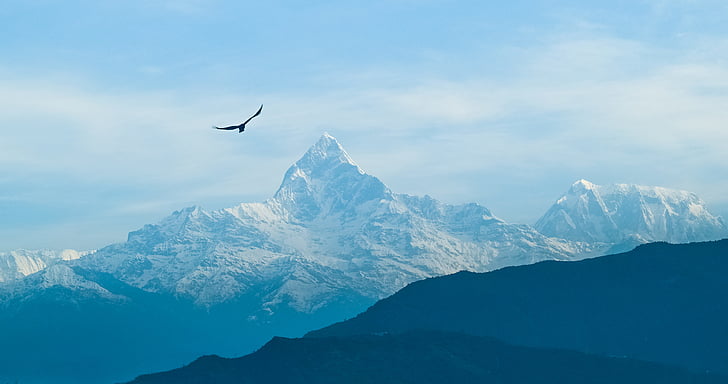 mountain, sky, foggy, bird, nepal, macchapuchhre, landscape