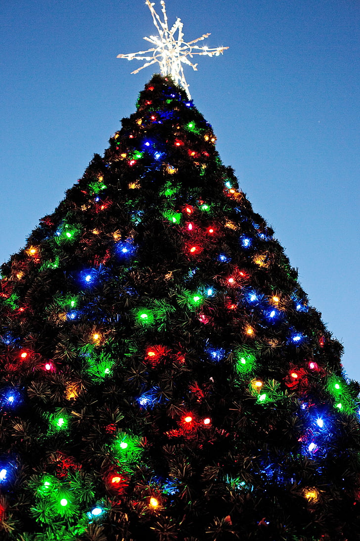 Рождественская елка, Xmas дерево, Рождество